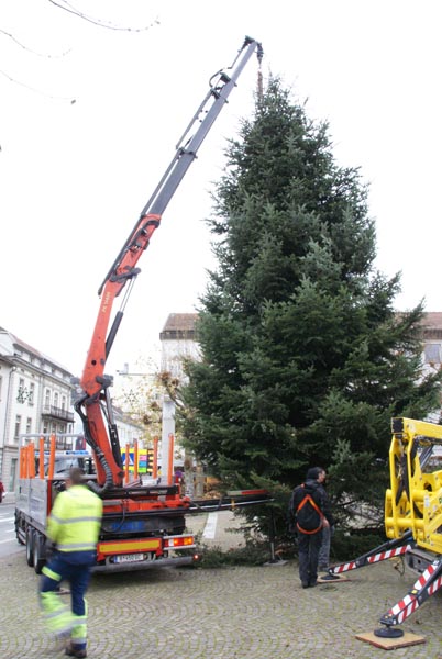 Baumbegardigung_beim_Landhaus_Bregenz_2016-11-21_DSC02206.jpg
